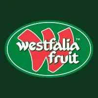 Financial Controller logo