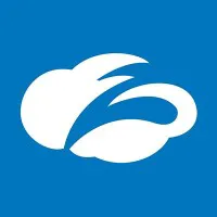 Senior Partner Business Manager logo