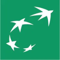 Team lead Customer Risk logo