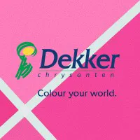 Praktijkonderzoeker logo