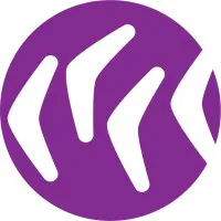 Risk Account Manager logo